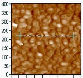 乳膠薄膜的AFM圖