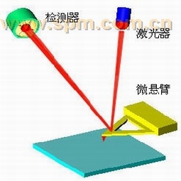 原子力顯微鏡(AFM)示意圖