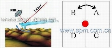 原子力顯微鏡（AFM）橫向力模式示意圖