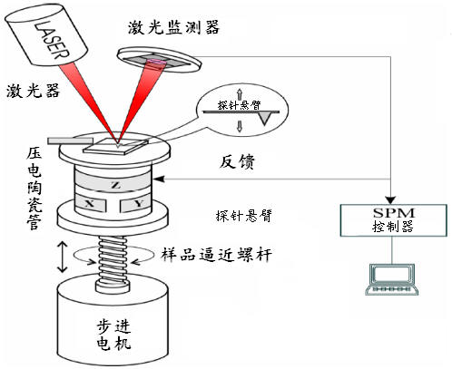 原子力顯微鏡