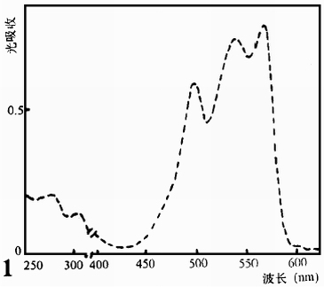 多管藻R-PE的吸收光譜