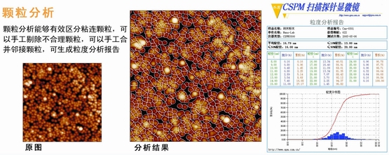 掃描探針顯微鏡粒度分析