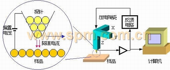 掃描隧道顯微鏡(STM)示意圖