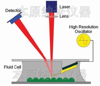 液相原子力顯微鏡AFM/掃描探針顯微鏡SPM示意圖