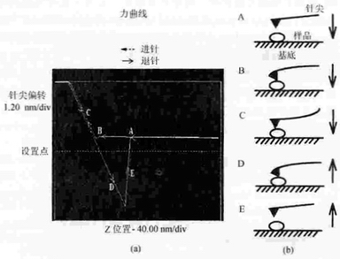 AFM典型力曲線（force-separation curve）