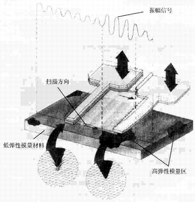 原子力顯微鏡力調(diào)制成像示意圖