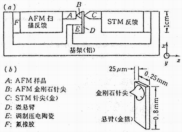 AFM的工作原理示意圖