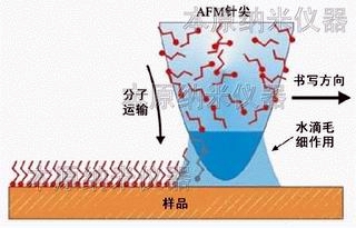 AFM納米加工浸潤(rùn)筆