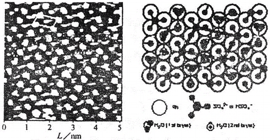 Rh(111)表面硫酸根離子與水分子共吸附的STM圖像和結(jié)構(gòu)模型